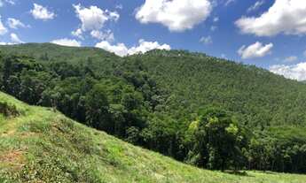 Imagem 3: Terreno para você ter seu sossego !