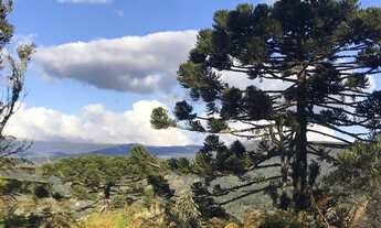 Imagem 7: Chácara em Urubici