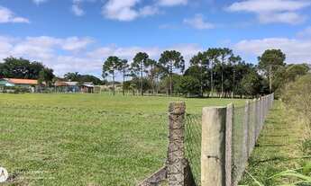 Imagem 6: Terreno Chácara Alameda dos Bosques - Pinhais - PR