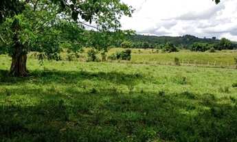 Imagem 4: Fazenda 127tarefas-St*Antonio Jesus-Ba