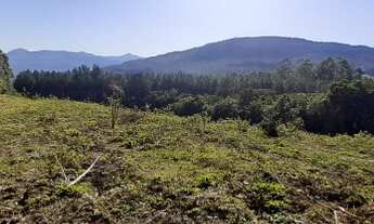 Imagem: Chácara para venda com 3 hectares em Rolante