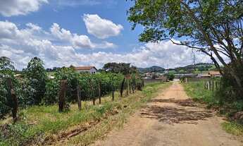 Imagem 2: COD:1741 Terreno no Iate Clube