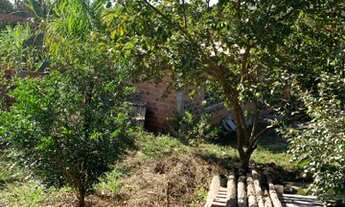 Imagem 5: Casa 2 cômodos em terreno amplo