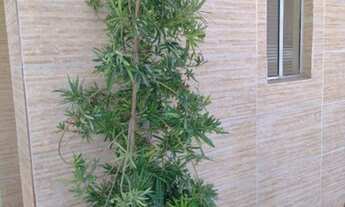 Imagem 4: Excelente ap J.Atlantico parte alta,portão eletrônico,quadra,câmera,nascente,reformado