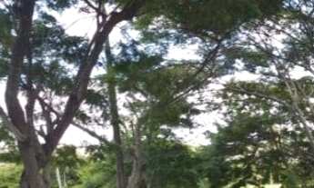 Imagem 6: Jazigo, 2 , lugares- Parque da paz-Orquídeas