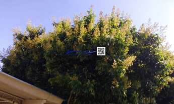 Imagem 6: Chácara para Venda em Valinhos, Joapiranga, 4 dormitórios, 1 suíte, 3 banheiros, 4 vagas