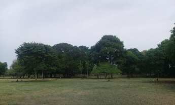 Imagem 2: Fazenda à venda 597Alq. 2.889,48Ha dupla aptidão. Cocalinho/MT