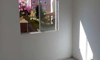 Imagem: Aluga-se apartamento Campo comprido. Direto