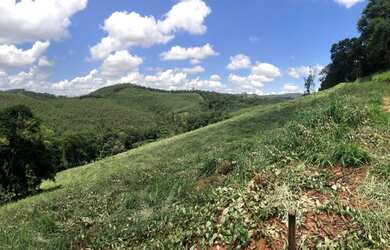 Imagem 6: Terreno para você ter seu sossego !