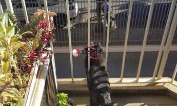 Imagem 4: Apartamento à venda, 3 dormitórios, 2 vagas, Vila Itália - São José do Rio Preto/SP