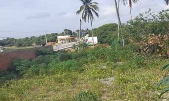 Imagem 2: Lote/Terreno para venda com 650 metros quadrados em Centro - Santo Amaro do Maranhão - MA