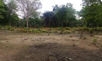 Imagem 6: Fazenda à venda 597Alq. 2.889,48Ha dupla aptidão. Cocalinho/MT