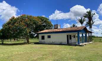 Imagem 5: Fazenda 225 hec em Cantanhede/Ma