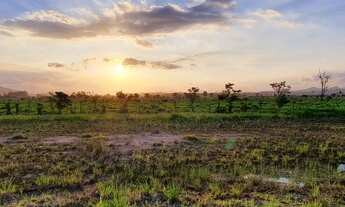 Imagem: Terreno em Tijucas-SC