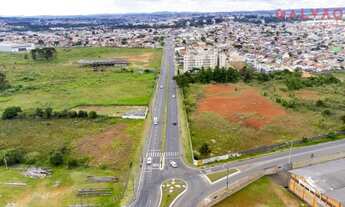 Imagem 4: Pinhais - Terreno Padrão - Centro