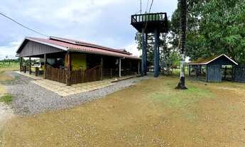 Imagem 2: Fazenda à 27km de Porto Velho - BR 319 - 773 hectares