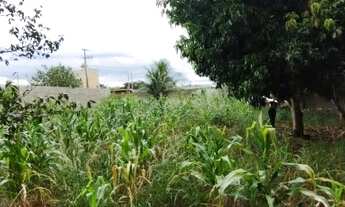 Imagem 6: Terreno gaveta no Cuca Fresca 1000 Metros