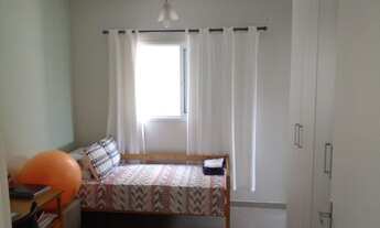 Imagem 3: SAO ROQUE - . - JARDIM VILLACA