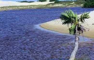 Imagem 13: PAULINO NEVES: Terreno urbano de 35 hectares a venda na beira do rio no Delta das Américas