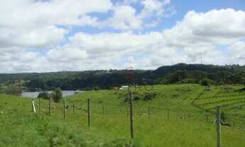 Imagem 3: Terreno na Barragem do Salto em São Francisco de Paula!