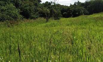 Imagem 4: Sítio 2 hectares, próximo a Araguari e Uberlândia