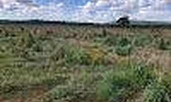Imagem 6: Fazenda à venda, m² por R$ 100.000.000,00 - Zona Rural - Planalto da Serra/MT