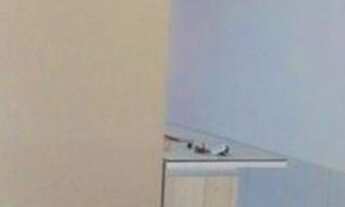 Imagem 6: Casa para venda com 150 metros quadrados com 2 quartos em Guamá - Belém - Pará