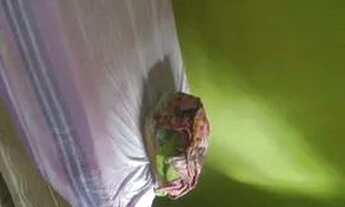 Imagem 2: Vendo casa 90.000