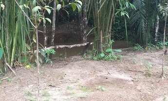 Imagem 3: Vendo sítio em Santa Rita MA