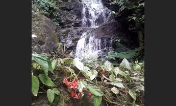 Imagem 3: Alugo casa mobiliada em belíssimo sitio