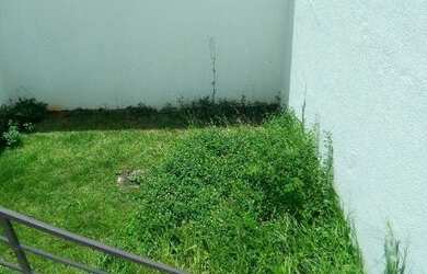 Imagem 5: Imóvel para venda Santo Amaro Recém reformado, fino acabamento