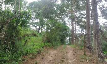 Imagem 7: Abaixou apenas 75 mil reais 2600 mts