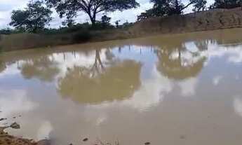 Imagem 3: Fazenda 800 Hectares... Destaque Pecuária. 2.800.000.00