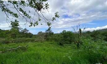 Imagem 4: Terreno para Venda em Florianópolis, Santo Antônio de Lisboa