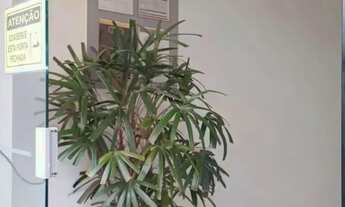 Imagem 4: Imóvel para venda com 80 metros quadrados com 2 quartos em Praça - Tijucas - SC