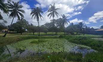 Imagem 2: Áreas à venda em rua pública, MOSQUEIRO, Aracaju, SE