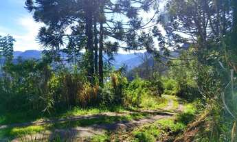 Imagem 7: Sítio / Chácara para Venda em Nova Petrópolis, Linha Brasil Fundos