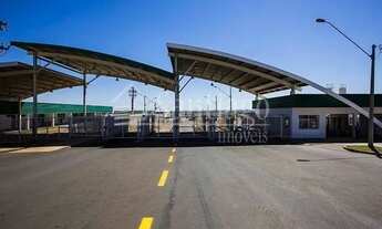 Imagem: Galpão - Nova Aparecida - Campinas