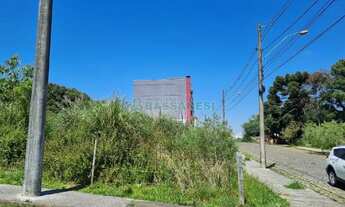 Imagem 3: Terreno Desvio Rizzo Caxias do Sul