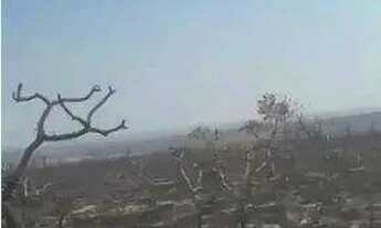 Imagem 7: FAZENDA (3.120 hectares). A 130 KM DE TANGARÁ DA SERRA. OPORTUNIDADE DE NEGÓCIO