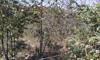 Imagem 4: VENDO OU TROCO CHÁCARA EM JABOTICATUBAS-MG