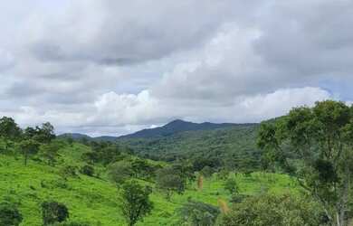 Imagem 2: Fazenda pra Gado 55 Alqueires - Região Lua Nova em Faina - GO