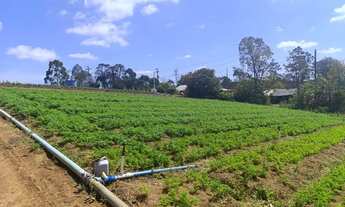 Imagem 3: Oferta: vendo 36 mil metros.piedade sp. C/ rio no fundo. Ótimo preço