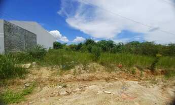 Imagem 2: Lotes Setor Universitário Caldas Novas