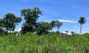 Imagem: Fazenda c/ 280he c/ 230he formados, ao lado