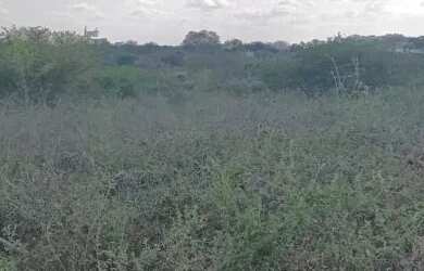 Imagem 2: Vendo ou troco) Terreno 1.200m² - Loteamento Baraúna, Ponto da Pinha, Retirolândia