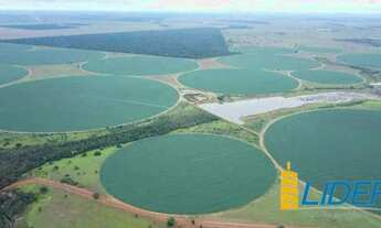 Imagem 4: Fantástica fazenda com 5.614 hectares sendo 3.049 hectares de plantio irrigados por 40 piv
