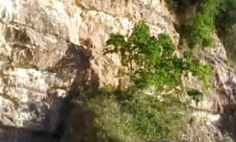 Imagem 3: Vem adquirir seu terreno num preço ótimo