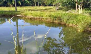 Imagem 2: Fazenda em campo florido minas
