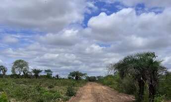 Imagem 2: Vendo terrenos em São José, Feira de Santana